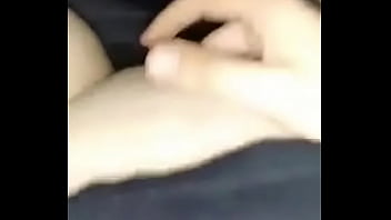 Sariwang Chinchin Fox Mula Sa Pinas